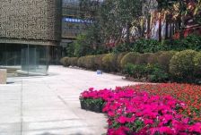 绿地锦天府 5室2厅 南