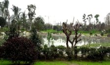 美城云庭 3室2厅 南 北