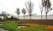 美城云庭 2室1厅 西