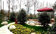 美城云庭 2室2厅 东