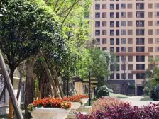 香榭国际 1室1厅 南