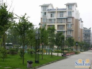 瑞安苑 3室2厅 南