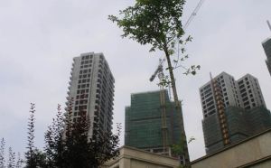 银泰泰悦湾2室1厅东南