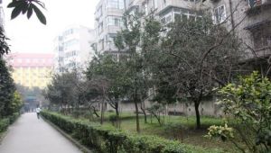 成大花园3室2厅南北