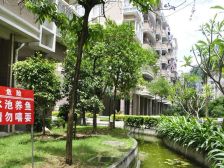 纯商小区 保持清楚 户型通透 品质四房 配套齐全