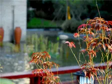 新建中心 4室2厅 南 北