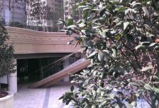 绿地锦天府 5室2厅 南