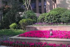 绿地锦天府 4室2厅 南 北