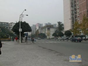 金壕雅庭 2室1厅 西南