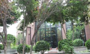 鑫城府 2室1厅 东南