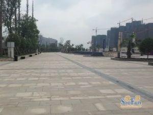 洲际亚洲湾A区3室1厅东东南