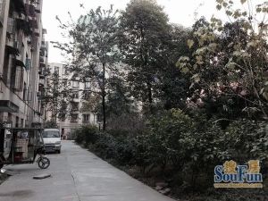 克拉玛依小区3室1厅东南