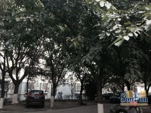 怡欣苑(新都)2室2厅东