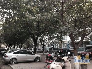 怡欣苑(新都)2室2厅南