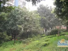 铜元局 芭蕉湾二房90万