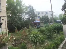 南川园精装一室,中间层,诚心出售,又有钥匙。