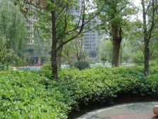 老香洲双双不占电话精装三房一梯两户未住过