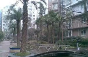 华文苑B区 3室2厅 东北 南