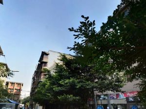 十五中街2号1室1厅南