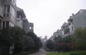 营门口路523号3室2厅东南
