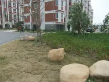 五山新苑 一 中 中间楼层 精装修有车库好采光随时看房