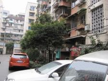 竺桂苑 2室1厅 南