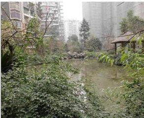 顺发苑4室2厅南