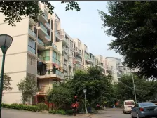 江山龙苑花园洋房,?主诚心出售,户型方正