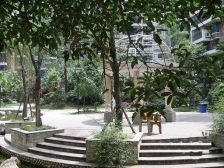 星月尚溪河畔 3室2厅 东