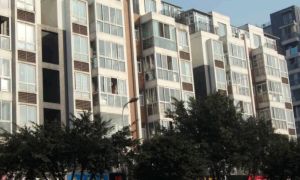 雅逸居3室2厅西南