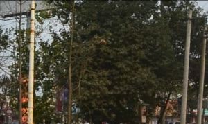 丽景东湖3室3厅南北
