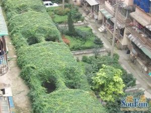 玉林南路13号2室1厅南北