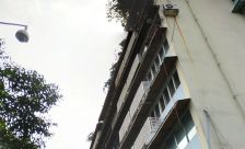 南河公寓 2室1厅 东南