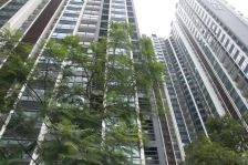 戛纳湾金棕榈 3室2厅 西南