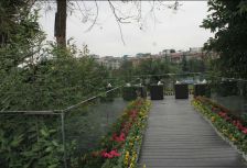 戛纳湾金棕榈 3室1厅 南