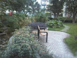 金沙小区 3室2厅 东南