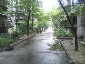 大石西路62号3室2厅南