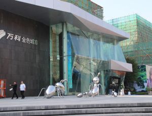 万科金色城市 电梯房 采光好 精装好房 产权清晰