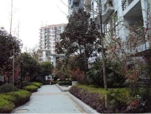 油篓街35号3室2厅南北