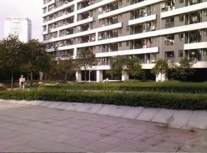 油篓街35号3室1厅东东南