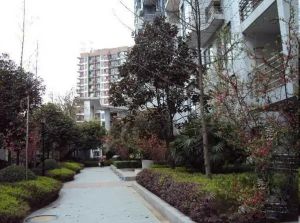 油篓街35号2室1厅东南