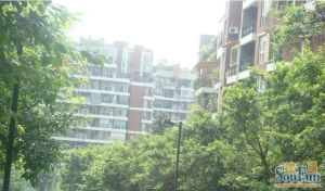 书香雅筑 1室1厅 东南