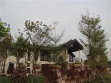 莲湖山庄独栋别墅,全新毛坯,诚意出售,装修自由发挥