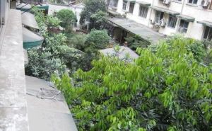 玉林九巷4号 3室1厅 南