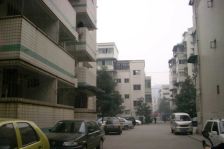 金鹏街175号院 1室1厅 南