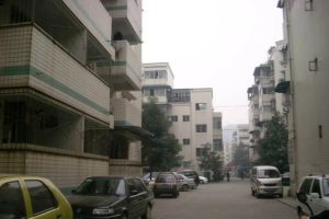 金鹏街175号院 1室1厅 南