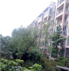 华逸花园(华逸路)3室2厅南