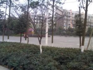 华逸花园(华逸路)2室1厅南