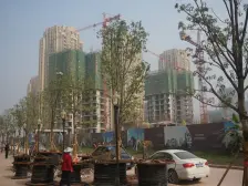 巨龙清水大两室,业主诚心出售,视野好。