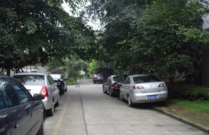 华阳桃李园3室2厅南